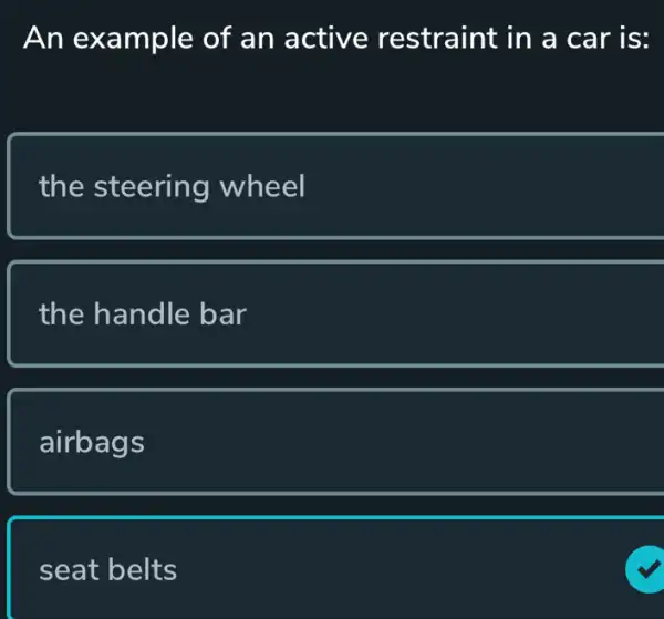 An example of an active restraint in a car is:
the steering wheel
the handle bar
airbags
seat belts