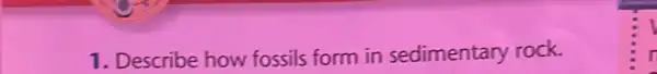 1. Describe how fossils form in sedimentary rock.