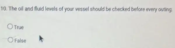 10. The oil and fluid levels of your vessel should be checked before every outing.
True
False