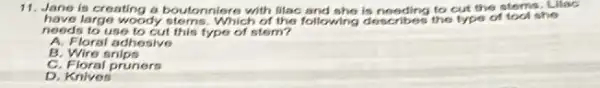 11. Jane is creating a boutonniere with lilac and she is needing to cut the stems. Lilac
have large woody Which of the following describes the type of tool she
needs to use to cut this type of stem?
A. Floral adhesive
B Wire snips
C. Floral pruners
D. Knives