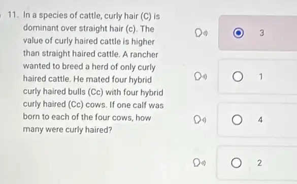 11. In a species of cattle, curly hair (C) is
dominant over straight hair (c). The
value of curly haired cattle is higher
than straight haired cattle A rancher
wanted to breed a herd of only curly
haired cattle. He mated four hybrid
curly haired bulls (Cc)with four hybrid
curly haired (Cc)cows. If one calf was
born to each of the four cows, how
many were curly haired?
Do)	3
Da)	1
Din)	4
4)	2