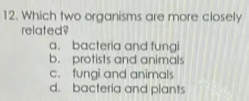 12. Which two organisms are more closely
related?
a. bacteria and fungl
b. profists and animals
c. fungi and animals
d. bacteria and plants