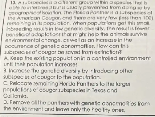 13. A subspecles is a different group willin a species that is
able to Interbreed but is usually prevented from doing so by
geographical Isolatlon. The Florida Panther is a subspecies of
the American Cougar, and there are very few (less than 100)
remaining in its population When populallons get this small,
Inbreeding results in low genelic diversity. The result is fewer
beneficial adaptations that might help the animals survive
environmental change, as well as an increase in the
occurrence of genelic abnormallies. How can this
subspecies of cougar be saved from extinction?
A. Keep the existing population in a confrolled environment
until their population increases.
B. Increase the genelic diversily by introducing other
subspecies of cougar to the population.
C. Relocate remaining Florida Panthers to the larger
populations of cougar subspecies in Texas and
Califomia.
D. Remove all the panthers with genetic abnormalities from
the environment and leave only the healthy ones.
