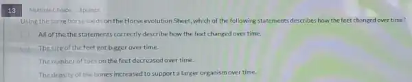 13
Multiple Choice 3 points
Using the same horse cards on the Horse evolution Sheet, which of the following statements describes how the feet changed over time?
All of the the statements correctly describe how the feet changed over time.
The size of the feet got bigger over time.
The number of toes on the feet decreased over time.
The density of the bones increased to support a larger organism over time.