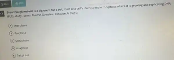 17
Even though meiosis is a big event for a cell, most of a cell's life is spent in this phase where it is growing and replicating DNA.
(FUEL study...comm Meiosis Overview, Function, 8. Steps)
A Interphase
B Prophase
C Metaphase
D Anaphase
E Telophase