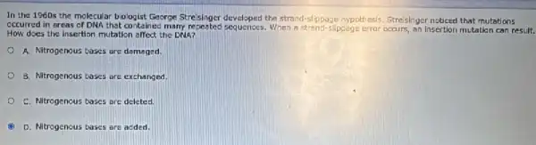 In the 1960s the molecular biologist George Streisinger developed the strand-slippage hypot esis, Streisinger noticed that mutations
occurred in areas of DNA that contained many repeated sequences.When a strend-slippage error peairs, an insertion mutation can result.
How does the insertion mutation affect the DNA?
A. Nitrogenous bases are damaged.
8. Nitrogenous bases are exchanged,
C. Nitrogenous bases are deleted.
D. Nitrogenous bases are added.