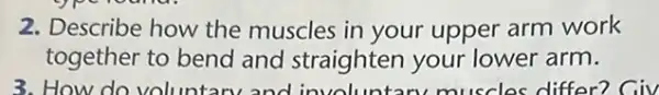 2. Describe how the muscles in your upper arm work
together to bend and straighten your lower arm.
3. How do volunt and involuntary muscles differ? Giv