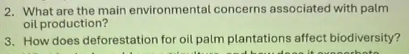 2. What are the main environmental concerns associated with palm
oil production?
3. How does deforestation for oil palm plantations affect biodiversity?