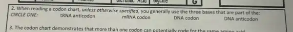 2. When reading a codon chart, unless otherwise specified, you generally use the three bases that are part of the:
CIRCLE ONE:	tRNA anticodon	mRNA codon
DNA anticodon
DNA codon
3. The codon chart demonstrates that more than one codon can potentially code for the same amino acid