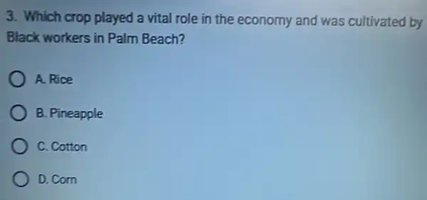 3. Which crop played a vital role in the economy and was cultivated by
Black workers in Palm Beach?
A. Rice
B. Pineapple
C. Cotton
D. Com