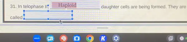 31. In telophase II Haploid	daughter cells are being formed. They are
called square  square