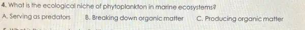 4. What is the ecological niche of ph ytoplankton in marine ecosystems?
A. Serving as predators
B. Breaking down organic matter
C. Producing organic matter