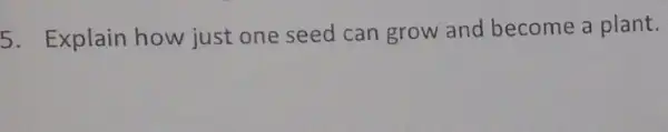 5. Explain how just one seed can grow and become a plant.