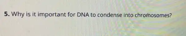 5. Why is it important for DNA to condense into chromosomes?