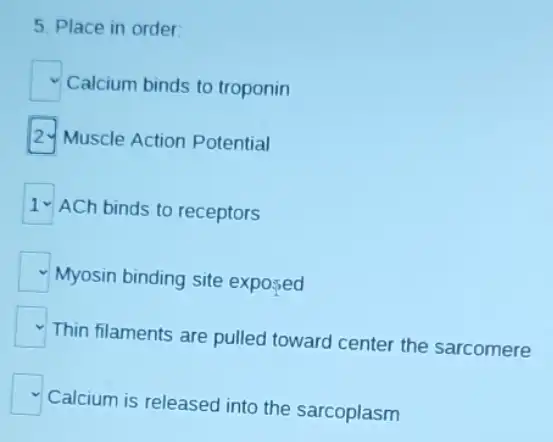 5. Place in order
square  Calcium binds to troponin
square  Muscle Action Potential
ACh binds to receptors
square  Myosin binding site exposed
square  Thin filaments are pulled toward center the sarcomere
square  Calcium is released into the sarcoplasm