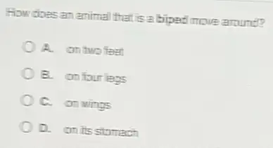 How does an animal that is a biped move around?
A. ontwo feet
B. onfour legs
C. on wings
a on its stomach