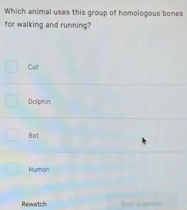 Which animal uses this group of homologous bones
for walking and running?
Cat
Dolphin
Bat
Human
Rewatch