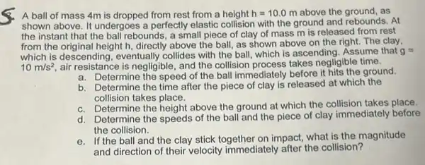 A ball of mass 4m is dropped from rest from a height h=10.0m above the ground, as
shown above. It undergoes a perfectly elastic collision with the ground and rebounds. At
the instant that the ball rebounds, a small piece of clay of mass m is released from rest
from the original height h directly above the ball as shown above on the right. The clay,
which is descending , eventually collides with the ball, which is ascending Assume that g=
10m/s^2 air resistance is negligible , and the collision process takes negligible time.
a. Determine the speed of the ball immediately before it hits the ground.
b. Determine the time after the piece of clay is released at which the
collision takes place.
c. Determine the height above the ground at which the collision takes place.
d. Determine the speeds of the ball and the piece of clay immediately before
the collision.
e. If the ball and the clay stick together on impact, what is the magnitude
and direction of their velocity immediately after the collision?