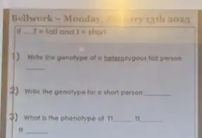 Bellwork-Monday, Jin ary 13th 2025
... .T=fall and I=shorl
1) Write the genolype of a heterorygous foll person
__
(2) Write the genolype for a thort person __
3) What is the phenolype of TI __ TI __
tt __