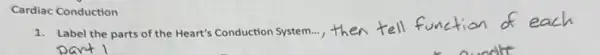Cardiac Conduction
1. Label the parts of the Heart's Conduction System..., then
function