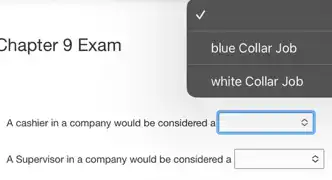 Chapter 9 Exam
square  blue Collar Job
A cashier in a company would be considered a square  c
A Supervisor in a company would be considered a square