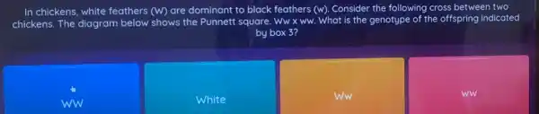 In chickens, white feathers (W) are dominant to black feathers (w). Consider the following cross between two
chickens. The diagram below shows the Punnett square. Ww x ww.What is the genotype of the offspring indicated
by box 3?
ww
White
ww
ww