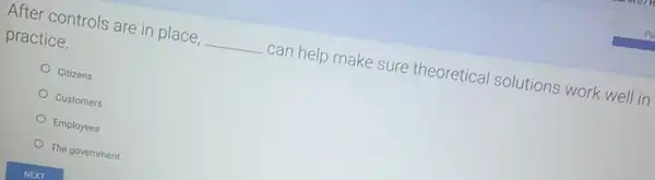 After controls are in place, __ can help make sure theoretical solutions work well in
practice.
Citizens
Customers
Employees
The government