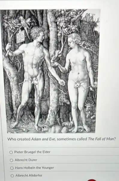 Who created Adam and Eve, sometimes called The Fall of Man?
Pieter Bruegel the Elder
Albrecht Durer
Hans Holbein the Younger
Albrecht Altdorfer