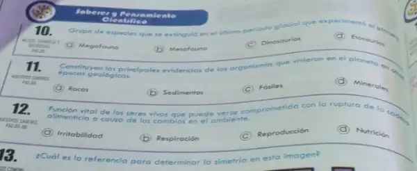 (d) Etosourion
Grupo de especles que se extinguló en el arimo periodo glacial que
10.
(1) Dinosaurios
C
non
Megafouna
(b) Mesofauno
principales evidencias de los org
organismos
II.
epocas geológicas.
ABENTS
as que vivieron en el ploneto and
D Mineroles
C
Fosiles
A Rocas
B Sedimentos
comprometida con la ruplure de la cook.
Funcion vital de los seres vivos que puede
alimenticia a causa
de los cambios en el ambiente.
12.
C
Reproducción
D Nutrición
B Respiración
A Irritabilidad
¿Cuál es la referencia para determinar la simetria en esta imagen?