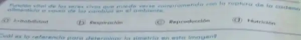 what deles seren vies que puedo verse comprometide conto ruptura de la cadene
cambios en el embiente.
(C) heitobilidad
(b) Respiracion
(C) Reproducción
(C) Nurricion