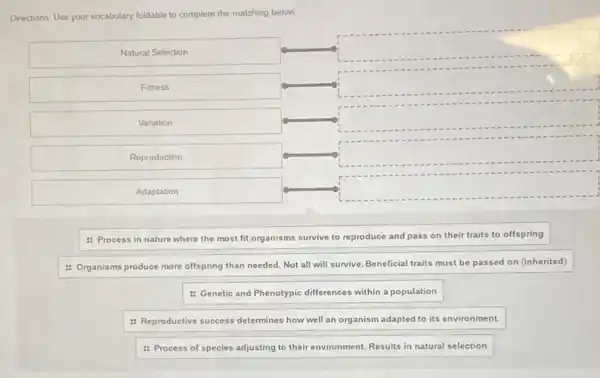 Directions: Use your vocabulary foldable to complete the matching below
Natural Selection
square 
Fitness
square 
Variation
square 
Reproduction
square 
Adaptation
square 
: Process in nature where the most fit organisms survive to reproduce and pass on their traits to offspring
: Organisms produce more offspring than needed. Not all will survive. Beneficial traits must be passed on (inherited)
: Genetic and Phenotypic differences within a population
: Reproductive success determines how well an organism adapted to its environment.
: Process of species adjusting to their environment.Results in natural selection