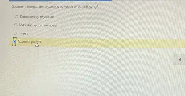 Document formats are organized by which of the following?
Date seen by physician
Individual record numbers
Illness
Name of patient