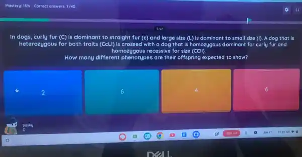 In dogs, curly fur (C) is dominant to straight fur (c) and large size (L) is dominant to small size (I). A dog that is
heterozygous for both traits (CcLI) is crossed with a dog that is homozygous dominant for curly fur and
homozygous recessive for size (CCII).
How many different phenotypes are their offspring expected to show?
6
4