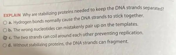 EXPLAIN Why are stabilizing proteins needed to keep the DNA strands separated?
a. Hydrogen bonds normally cause the DNA strands to stick together.
b. The wrong nucleotides can mistakenly pair up on the templates.
c. The two strands can coil around each other preventing replication.
d. Without stabilizing proteins, the DNA strands can fragment.