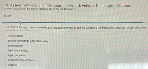 Final Assessment - Common Diseases of Livestock Animals Neurological Diseases
Common Diseases of Livestock Animals Neurological Diseases
14 of 20
Select the following common neurological diseases in livestock animals which are transmissible spongiform encephalopathies.
Anencephaly
Bovine spongiform encephalopathy
Exencephaly
Hydranencephaly
Hydrocephalus
Polioencephalomalacia
Scrapie