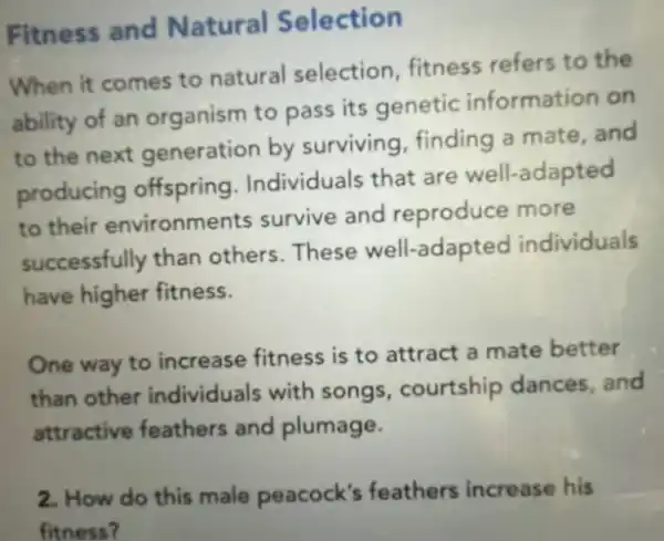 Fitness and Natural Selection
When it comes to natural selection fitness refers to the
ability of an organism to pass its genetic information on
to the next generation by surviving, finding a mate,and
producing offspring Individuals that are well-adapted
to their environments survive and reproduce more
successfully than others. These well adapted individuals
have higher fitness.
One way to increase fitness is to attract a mate better
than other individuals with songs, courtship dances,and
attractive feathers and plumage.
2. How do this male peacock's feathers increase his
fitness?