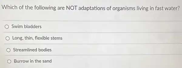 Which of the following are NOT adaptations of organisms living in fast water?
Swim bladders
Long, thin, flexible stems
Streamlined bodies
Burrow in the sand