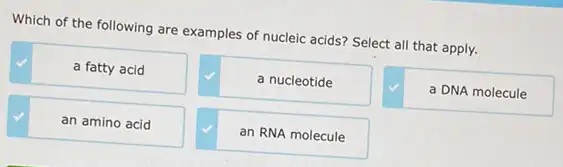 Which of the following are examples of nucleic acids? Select all that apply.
a fatty acid
a nucleotide
a DNA molecule
an amino acid
an RNA molecule