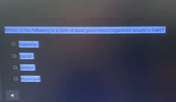 Which of the following is a form of local governmen organized around a town?
township
parish
Cistrict
punicipal