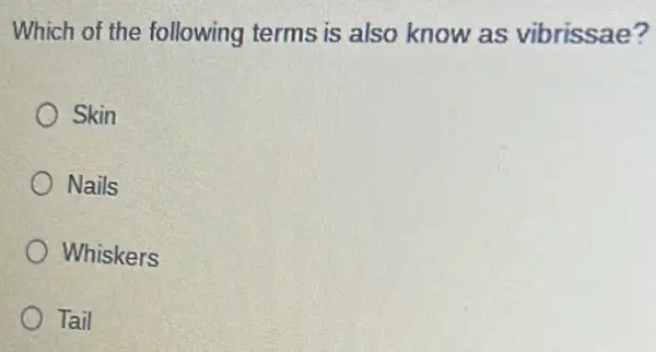 Which of the following terms is also know as vibrissae?
Skin
Nails
Whiskers
Tail