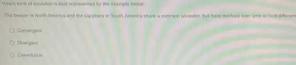 Which form of evolution is best represented by the example below:
The beaver in North America and the capybara in South America share a common ancestor, but have evolved over time to look differen
Convergent
Divergent
Coevolution