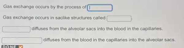 Gas exchange occurs by the process of square 
Gas exchange occurs in saclike structures called square 
square  diffuses from the alveolar sacs into the blood in the capillaries.
square  diffuses from the blood in the capillaries into the alveolar sacs.