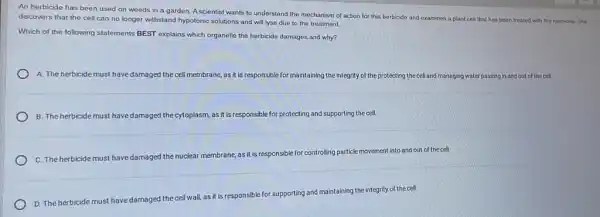 An herbicide has been used on weeds in a garden. A scientist wants to understand the mechanism of action for this herbicide and examines a plant cell that has been treated with the herbicide. She
discovers that the cell can no longer withstand hypotonic solutions and will lyse due to the treatment.
Which of the following statements BEST explains which organelle the herbicide damages and why?
A. The herbicide must have damaged the cell membrane, as it is responsible for maintaining the integrity of the protecting the cell and managing water passing in and out of the cell.
B. The herbicide must have damaged the cytoplasm, as it is responsible
nsible for protecting and supporting the cell.
C. The herbicide must have damaged the nuclear
membrane, as it is responsible for controlling particle movement into and out of the cell.
D. The herbicide must have damaged the cell
wall, as it is responsible for supporting and maintaining the integrity of the cell.