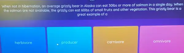 When not in hibernation an average grizzly bear in Alaska can eat 30lbs or more of salmon in a single day. When
the salmon are not available, the grizzly can eat 60lbs of small fruits and other vegetation.This grizzly bear is a
great example of a
herbivore
producer
carnivore
omnivore