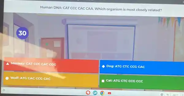 Human DNA: CAT CCC CAC CAA. Which organism is most closely related?
30
cco
Dog: ATG CTC CCG CAC
Wolf: ATG CAC CCG CAC
Cat: ATG CTC CCG ccc