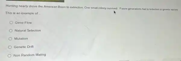 Hunting nearly drove the American Bison to extinction One small colony survived Future generations had a reduction in genetic variety.
This is an example of __
Gene Flow
Natural Selection
Mutation
Genetic Drift
Non Random Mating