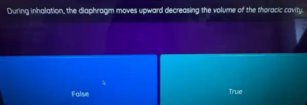 During inhalation, the diaphragm moves upward decreasing the volume of the thoracic cavity
False
True