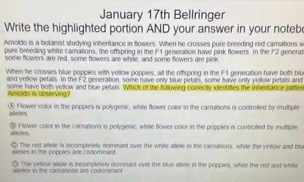 January 17th Bellringer
Write the highlighted portion AND your answer in your noteb
Amoldo is a botanist studying inheritance in flowers. When he crosses pure breeding red carnations w
pure breeding white camations, the offspring in the F1 generation have pink flowers. In the F2 generat
some flowers are red , some flowers are white, and some flowers are pink.
When he crosses blue poppies with yellow poppies all the offspring in the F1 generation have both blu
and yellow petals. In the F2 generation, some have only blue petals, some have only yellow petals and
some have both yellow and blue petals. Which of the following correctly Identifies the inheritance patter
Amoldo is observing?
(A) Flower color in the poppies is polygenic while flower color in the carnations is controlled by multiple
alleles
(B) Flower color in the camations is polygenic while flower color in the poppies is controlled by multiple
alleles
(C) The red allele is incompletely dominant over the white allele in the camations, while the yellow and blu
alleles in the poppies are codominant.
(1) The yellow allele is incompletely dominant over the blue allele in the poppies, while the red and white
alleles in the camations are codominant