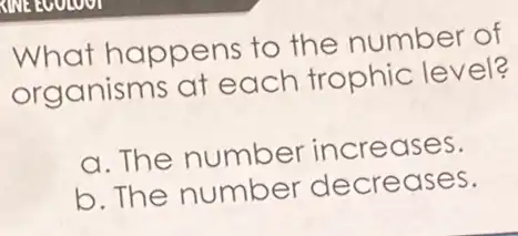 KINE EUULUVI
What happens to the number of
organisms at each trophic level?
a. The number increases.
b. The number decreases.