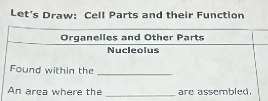 Let's Draw: Cell Parts and their Function
Found within the __
An area where the __ are assembled.